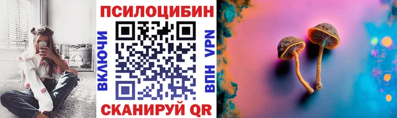 Купить закладки  Асбест  Псилоцибиновые грибы мухоморы 